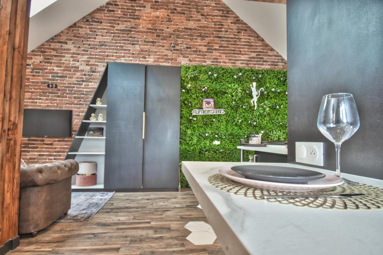* Le Loft Des Mysteres * Apartment Maintenon Exterior photo